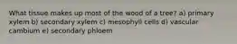 What tissue makes up most of the wood of a tree? a) primary xylem b) secondary xylem c) mesophyll cells d) vascular cambium e) secondary phloem