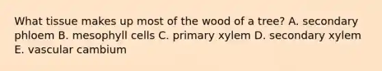 What tissue makes up most of the wood of a tree? A. secondary phloem B. mesophyll cells C. primary xylem D. secondary xylem E. vascular cambium