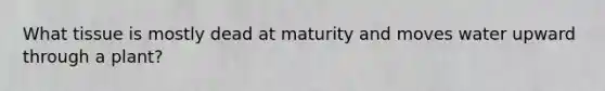 What tissue is mostly dead at maturity and moves water upward through a plant?