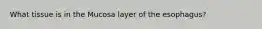 What tissue is in the Mucosa layer of the esophagus?