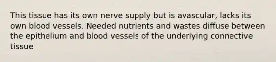 This tissue has its own nerve supply but is avascular, lacks its own blood vessels. Needed nutrients and wastes diffuse between the epithelium and blood vessels of the underlying connective tissue
