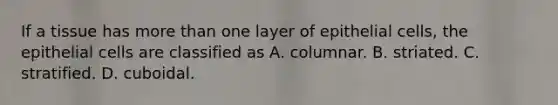 If a tissue has more than one layer of epithelial cells, the epithelial cells are classified as A. columnar. B. striated. C. stratified. D. cuboidal.