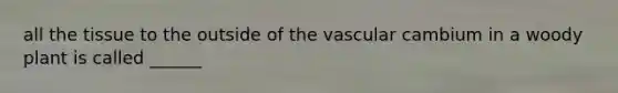 all the tissue to the outside of the vascular cambium in a woody plant is called ______