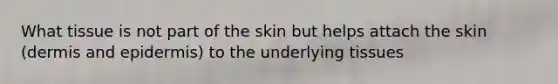 What tissue is not part of the skin but helps attach the skin (dermis and epidermis) to the underlying tissues