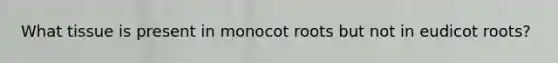 What tissue is present in monocot roots but not in eudicot roots?