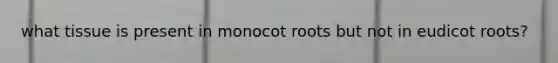 what tissue is present in monocot roots but not in eudicot roots?