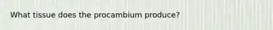 What tissue does the procambium produce?