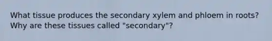 What tissue produces the secondary xylem and phloem in roots? Why are these tissues called "secondary"?