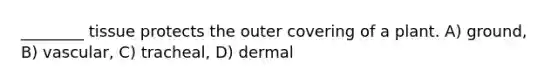 ________ tissue protects the outer covering of a plant. A) ground, B) vascular, C) tracheal, D) dermal