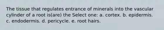 The tissue that regulates entrance of minerals into the vascular cylinder of a root is(are) the Select one: a. cortex. b. epidermis. c. endodermis. d. pericycle. e. root hairs.