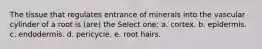 The tissue that regulates entrance of minerals into the vascular cylinder of a root is (are) the Select one: a. cortex. b. epidermis. c. endodermis. d. pericycle. e. root hairs.