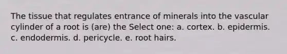 The tissue that regulates entrance of minerals into the vascular cylinder of a root is (are) the Select one: a. cortex. b. epidermis. c. endodermis. d. pericycle. e. root hairs.