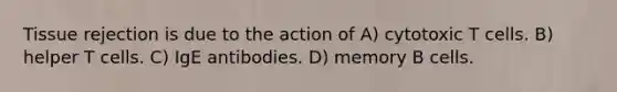 Tissue rejection is due to the action of A) cytotoxic T cells. B) helper T cells. C) IgE antibodies. D) memory B cells.