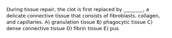 During tissue repair, the clot is first replaced by ________, a delicate connective tissue that consists of fibroblasts, collagen, and capillaries. A) granulation tissue B) phagocytic tissue C) dense connective tissue D) fibrin tissue E) pus