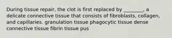 During tissue repair, the clot is first replaced by ________, a delicate connective tissue that consists of fibroblasts, collagen, and capillaries. granulation tissue phagocytic tissue dense connective tissue fibrin tissue pus