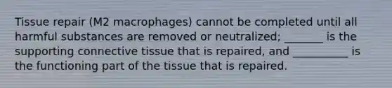 Tissue repair (M2 macrophages) cannot be completed until all harmful substances are removed or neutralized; _______ is the supporting connective tissue that is repaired, and __________ is the functioning part of the tissue that is repaired.