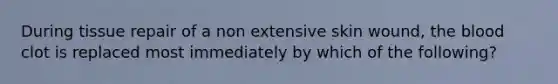 During tissue repair of a non extensive skin wound, the blood clot is replaced most immediately by which of the following?