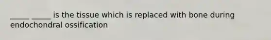 _____ _____ is the tissue which is replaced with bone during endochondral ossification