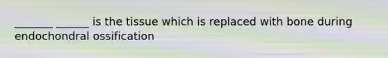 _______ ______ is the tissue which is replaced with bone during endochondral ossification