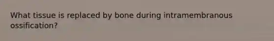 What tissue is replaced by bone during intramembranous ossification?