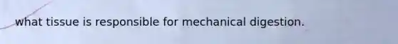 what tissue is responsible for mechanical digestion.