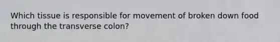 Which tissue is responsible for movement of broken down food through the transverse colon?