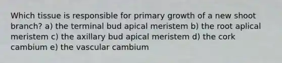 Which tissue is responsible for primary growth of a new shoot branch? a) the terminal bud apical meristem b) the root aplical meristem c) the axillary bud apical meristem d) the cork cambium e) the vascular cambium