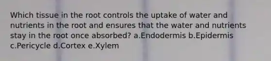 Which tissue in the root controls the uptake of water and nutrients in the root and ensures that the water and nutrients stay in the root once absorbed? a.Endodermis b.Epidermis c.Pericycle d.Cortex e.Xylem