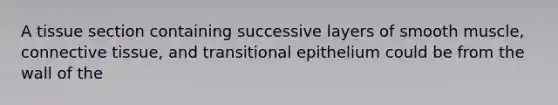 A tissue section containing successive layers of smooth muscle, connective tissue, and transitional epithelium could be from the wall of the