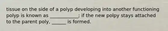 tissue on the side of a polyp developing into another functioning polyp is known as ____________; if the new polpy stays attached to the parent poly, ______ is formed.