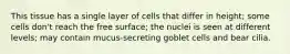 This tissue has a single layer of cells that differ in height; some cells don't reach the free surface; the nuclei is seen at different levels; may contain mucus-secreting goblet cells and bear cilia.