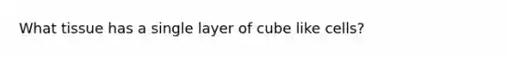 What tissue has a single layer of cube like cells?