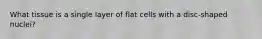 What tissue is a single layer of flat cells with a disc-shaped nuclei?