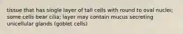 tissue that has single layer of tall cells with round to oval nuclei; some cells bear cilia; layer may contain mucus secreting unicellular glands (goblet cells)