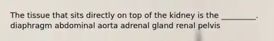 The tissue that sits directly on top of the kidney is the _________. diaphragm abdominal aorta adrenal gland renal pelvis