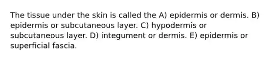 The tissue under the skin is called the A) epidermis or dermis. B) epidermis or subcutaneous layer. C) hypodermis or subcutaneous layer. D) integument or dermis. E) epidermis or superficial fascia.