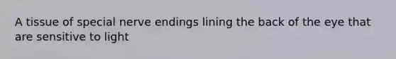 A tissue of special nerve endings lining the back of the eye that are sensitive to light
