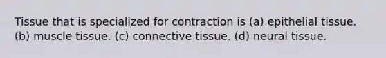 Tissue that is specialized for contraction is (a) epithelial tissue. (b) muscle tissue. (c) connective tissue. (d) neural tissue.