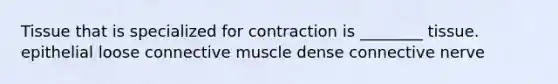 Tissue that is specialized for contraction is ________ tissue. epithelial loose connective muscle dense connective nerve