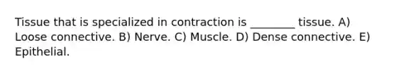 Tissue that is specialized in contraction is ________ tissue. A) Loose connective. B) Nerve. C) Muscle. D) Dense connective. E) Epithelial.