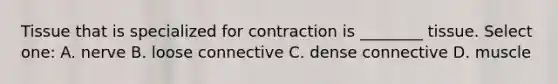 Tissue that is specialized for contraction is ________ tissue. Select one: A. nerve B. loose connective C. dense connective D. muscle