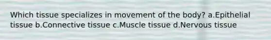 Which tissue specializes in movement of the body? a.Epithelial tissue b.Connective tissue c.Muscle tissue d.Nervous tissue