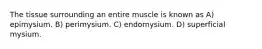 The tissue surrounding an entire muscle is known as A) epimysium. B) perimysium. C) endomysium. D) superficial mysium.