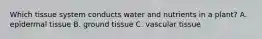 Which tissue system conducts water and nutrients in a plant? A. epidermal tissue B. ground tissue C. vascular tissue