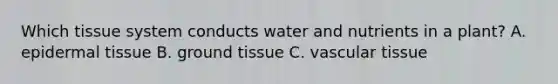 Which tissue system conducts water and nutrients in a plant? A. epi<a href='https://www.questionai.com/knowledge/kRKdINDJId-dermal-tissue' class='anchor-knowledge'>dermal tissue</a> B. <a href='https://www.questionai.com/knowledge/kb0kKBaH0H-ground-tissue' class='anchor-knowledge'>ground tissue</a> C. <a href='https://www.questionai.com/knowledge/k1HVFq17mo-vascular-tissue' class='anchor-knowledge'>vascular tissue</a>