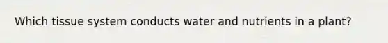 Which tissue system conducts water and nutrients in a plant?