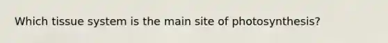 Which tissue system is the main site of photosynthesis?