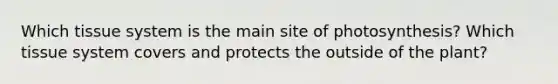 Which tissue system is the main site of photosynthesis? Which tissue system covers and protects the outside of the plant?