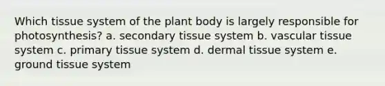 Which tissue system of the plant body is largely responsible for photosynthesis? a. secondary tissue system b. vascular tissue system c. primary tissue system d. dermal tissue system e. ground tissue system