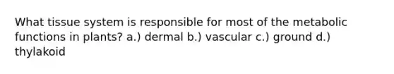 What tissue system is responsible for most of the metabolic functions in plants? a.) dermal b.) vascular c.) ground d.) thylakoid